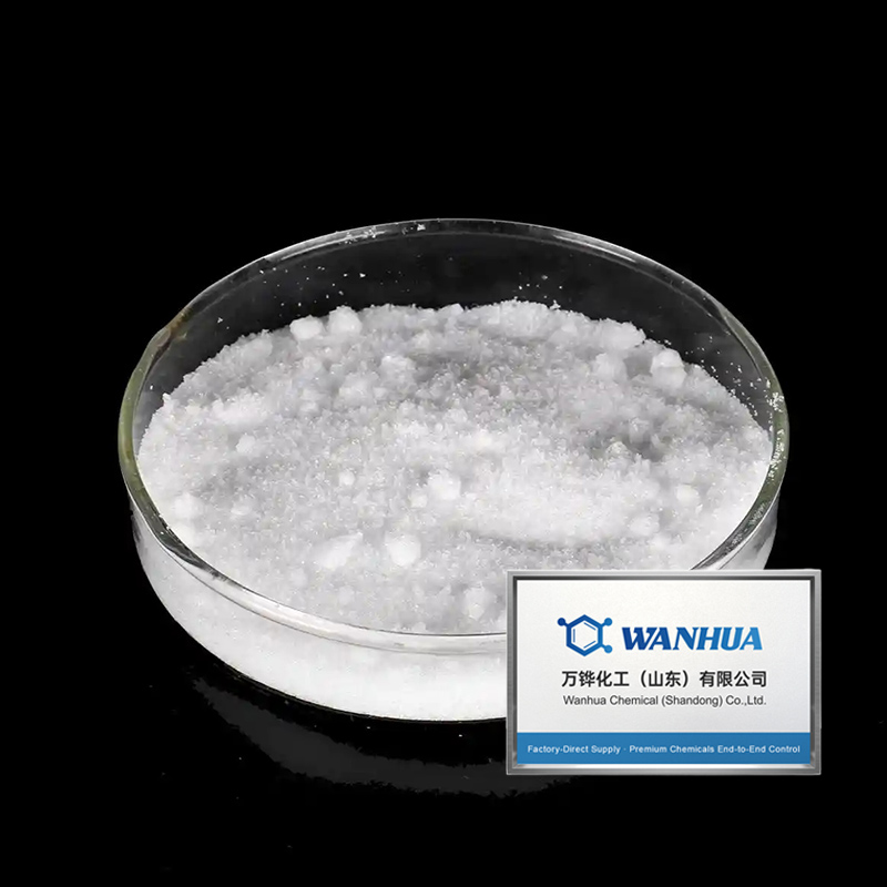 4-Amino-N-methylbenzamide CAS#6274-22-2