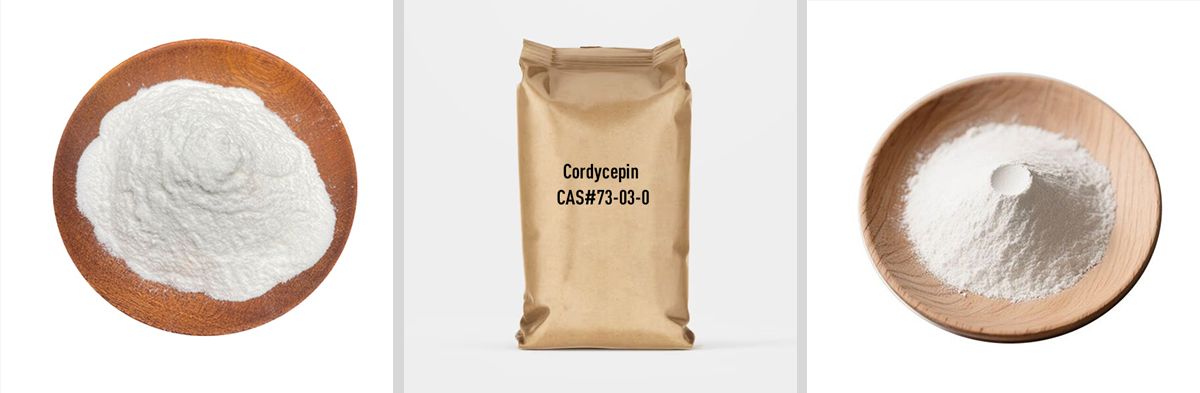 Cordycepin CAS#73-03-0 Cordycepin CAS#73-03-0