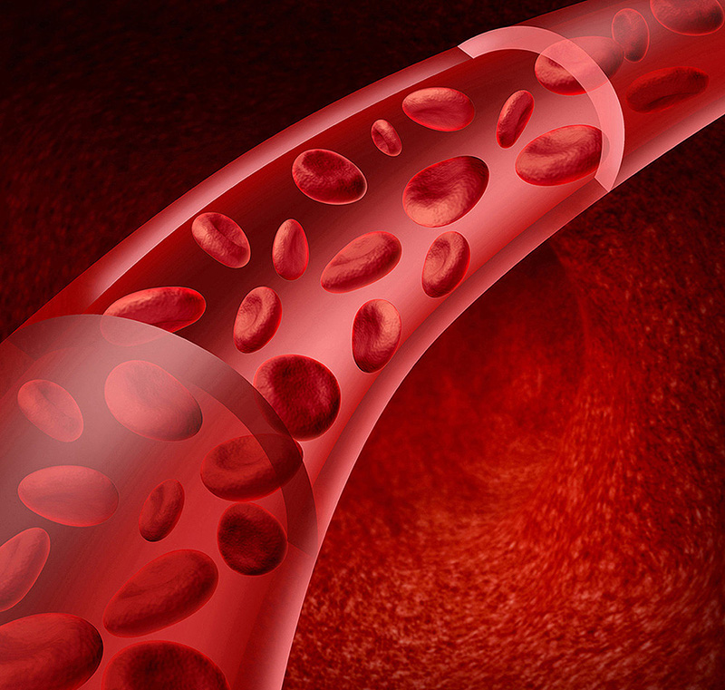Che cos'è l'acido succinico nella cera d'api ambrata?