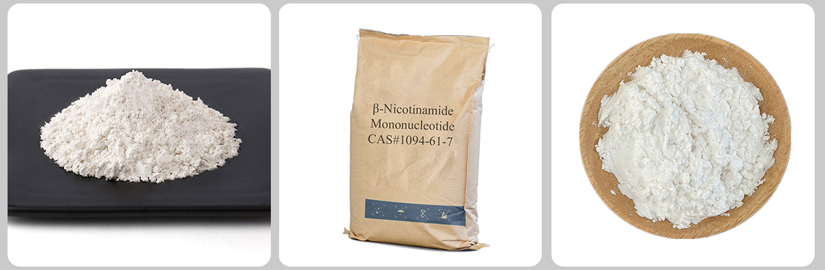 β-Nicotinamide Mononucleotide#1094-61-7 β-Nicotinamide Mononucleotide#1094-61-7