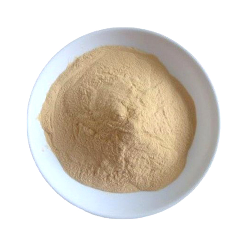 DEXTRANASE CAS#9025-70-1