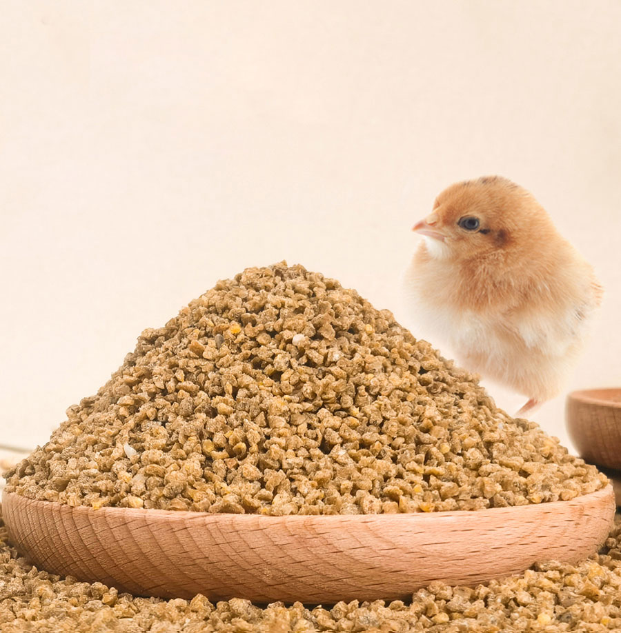 1753841902856115.jpg 2.jpg