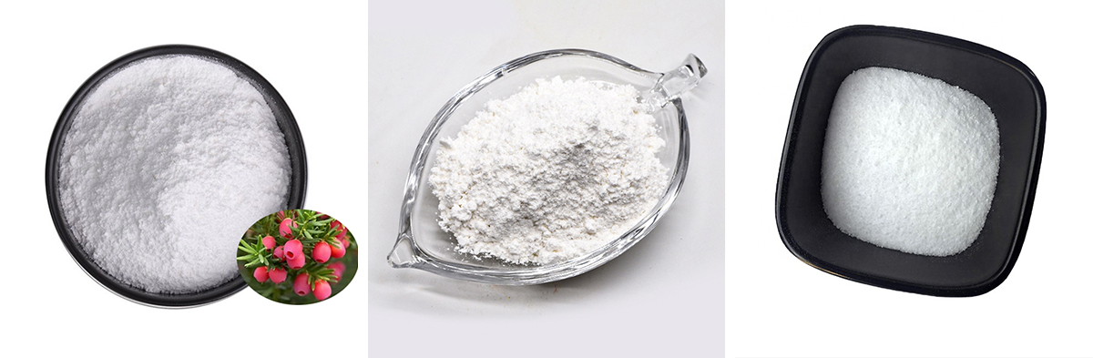 Paclitaxel CAS#33069-62-4 Paclitaxel CAS#33069-62-4