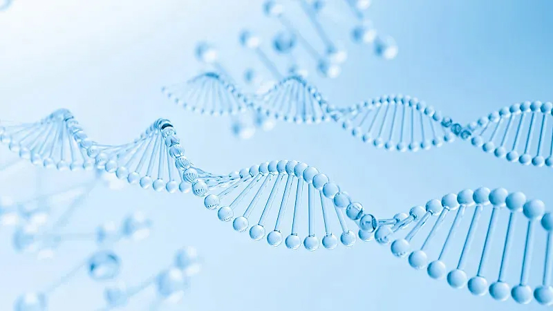 Trehalose CAS#99-20-7 Trehalose CAS#99-20-7