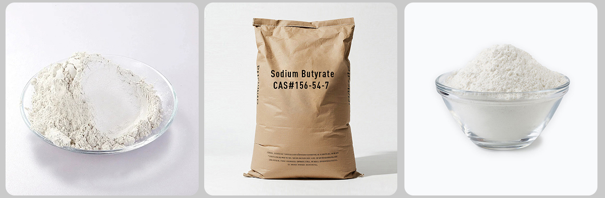 Sodium Butyrate CAS#156-54-7 Sodium Butyrate CAS#156-54-7