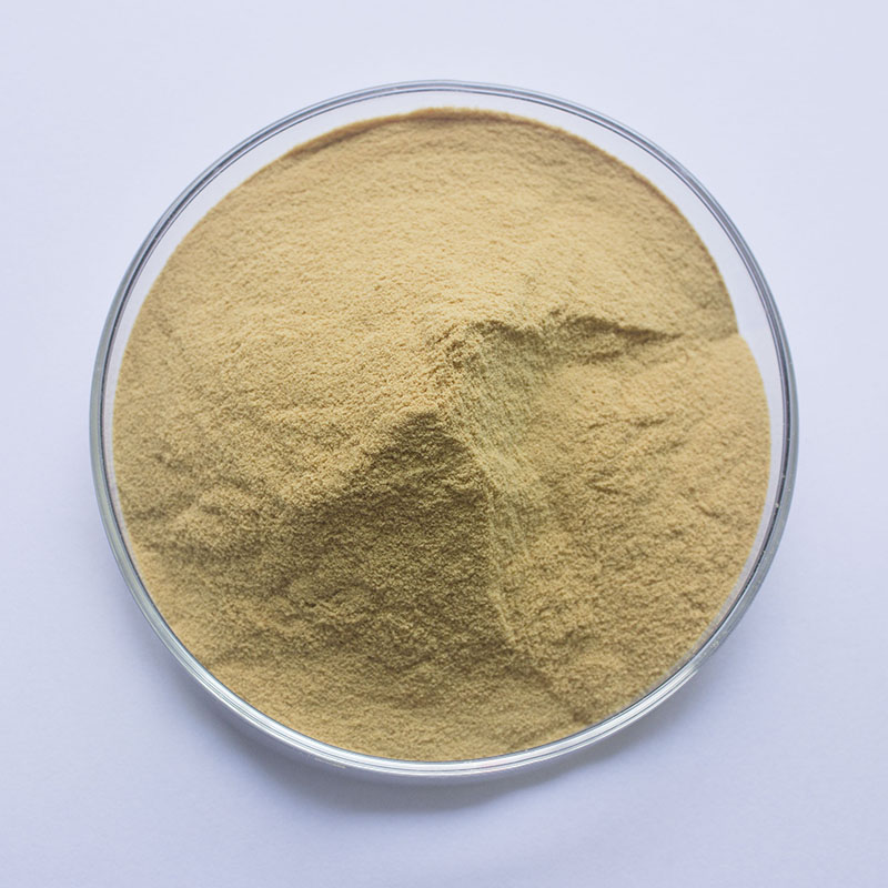 Mogroside CAS#89590-98-7