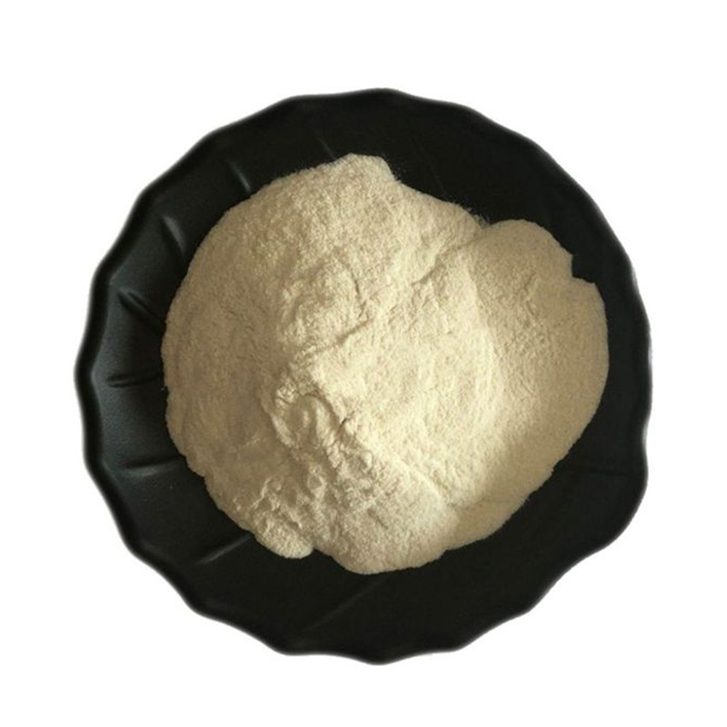 DEXTRANASE CAS#9025-70-1