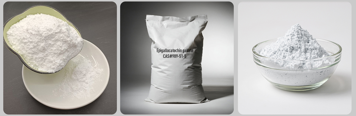 (-) - Epigallokatexin gallat # 989-51-5 (-) - Epigallokatexin gallat # 989-51-5