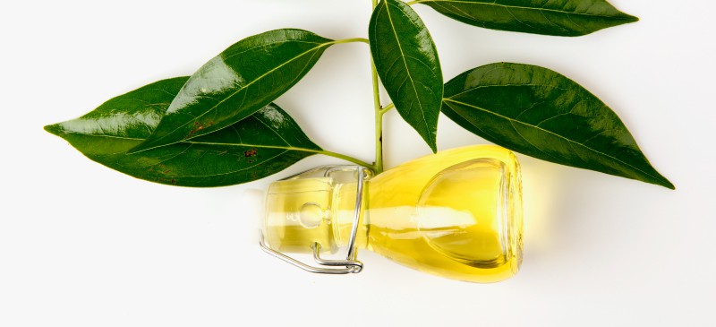 Olio di canfora CAS#8008-51-3