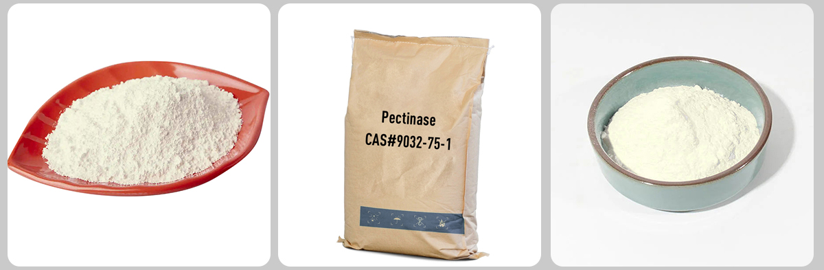 Pectinase CAS#9032-75-1 Pectinase CAS#9032-75-1