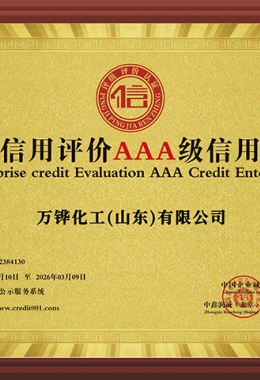 Wanhua Chemical (S Winter) Co., Ltd