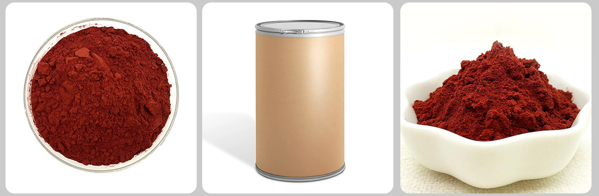 Lycopène CAS#502-65-8 Lycopène CAS#502-65-8