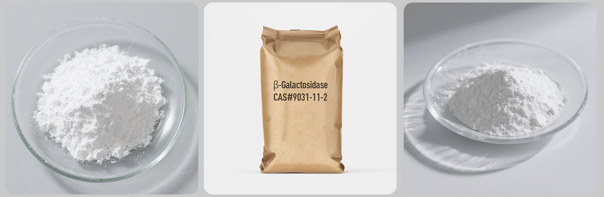 β-Galactosidase#9031-11-2 β-Galactosidase#9031-11-2