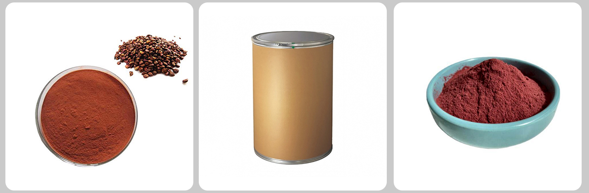 Grape Seed Extract#84929-27-1 Grape Seed Extract#84929-27-1