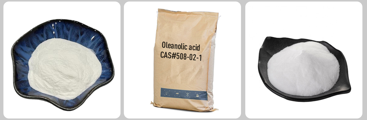 Oleanolic acid CAS#508-02-1 Oleanolic acid CAS#508-02-1