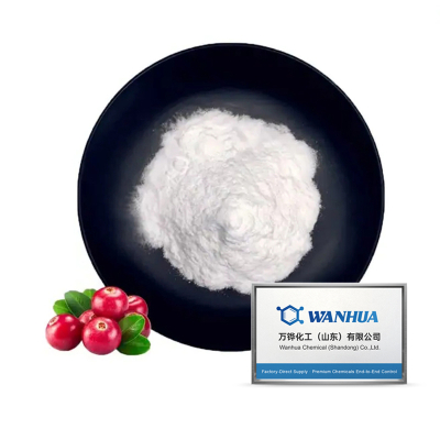 Alpha-Arbutin CAS-Nr. 84380-01-8