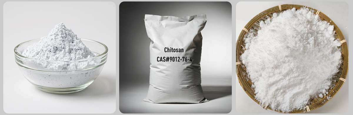 Chitosan CAS#9012-76-4 Chitosan CAS#9012-76-4