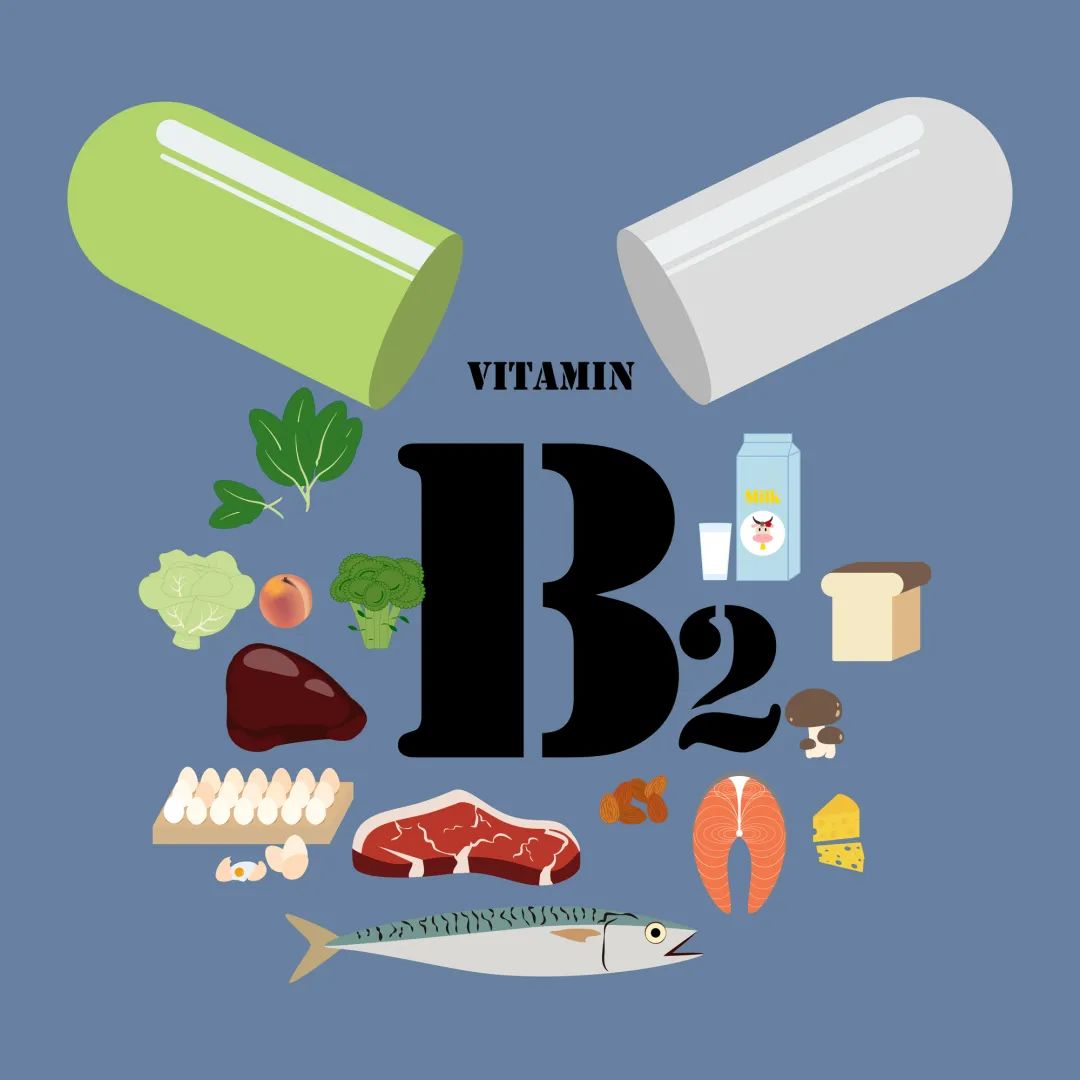 Vitamina B2 CAS#83-88-5 Vitamina B2 CAS#83-88-5