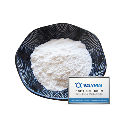 2,4-ди-трет-бутилфенол CAS#96-76-4