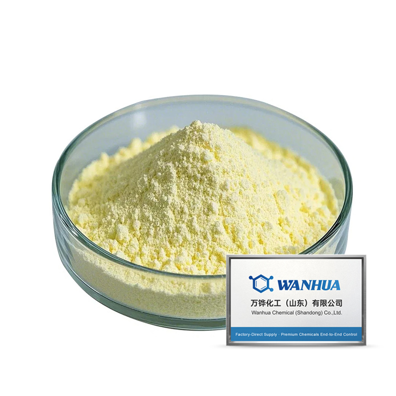 2-Aminoquinolina CAS#580-22-3