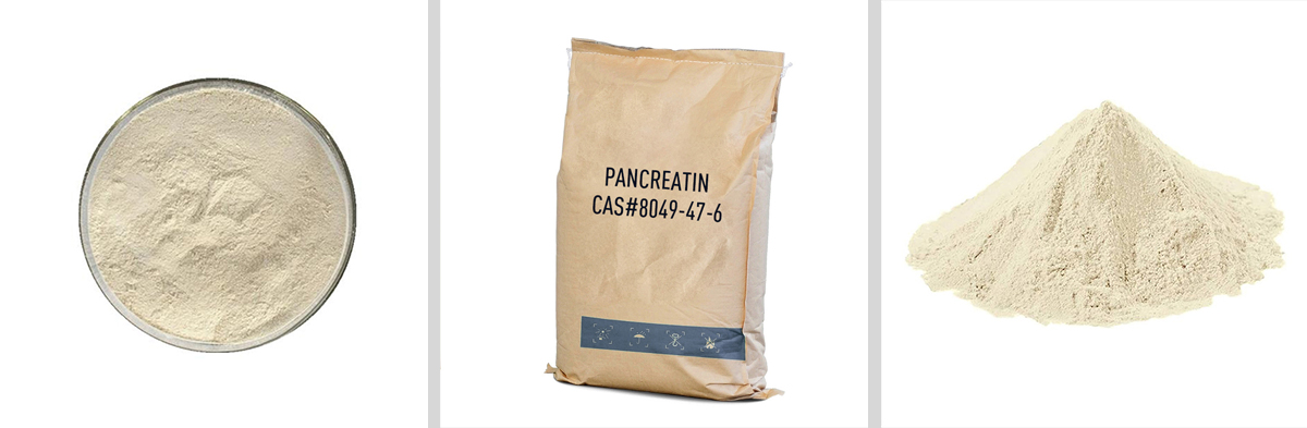 Панкреатин CAS № 8049-47-6 Панкреатин CAS № 8049-47-6
