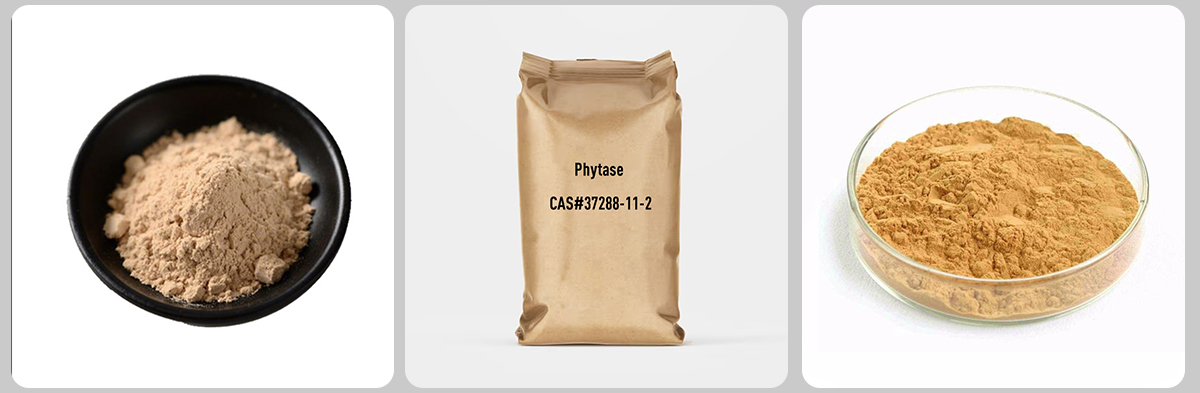 Фитаза CAS №37288-11-2 Фитаза CAS №37288-11-2