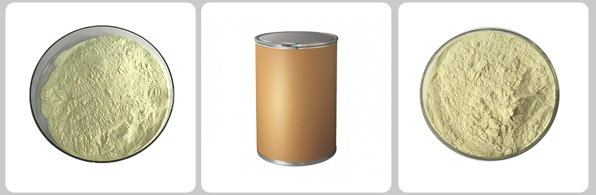 الكولاجيناز CAS#9001-12-1