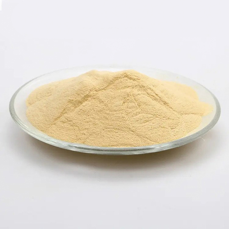 Hefeextrakt CAS-Nr. 8013-01-2