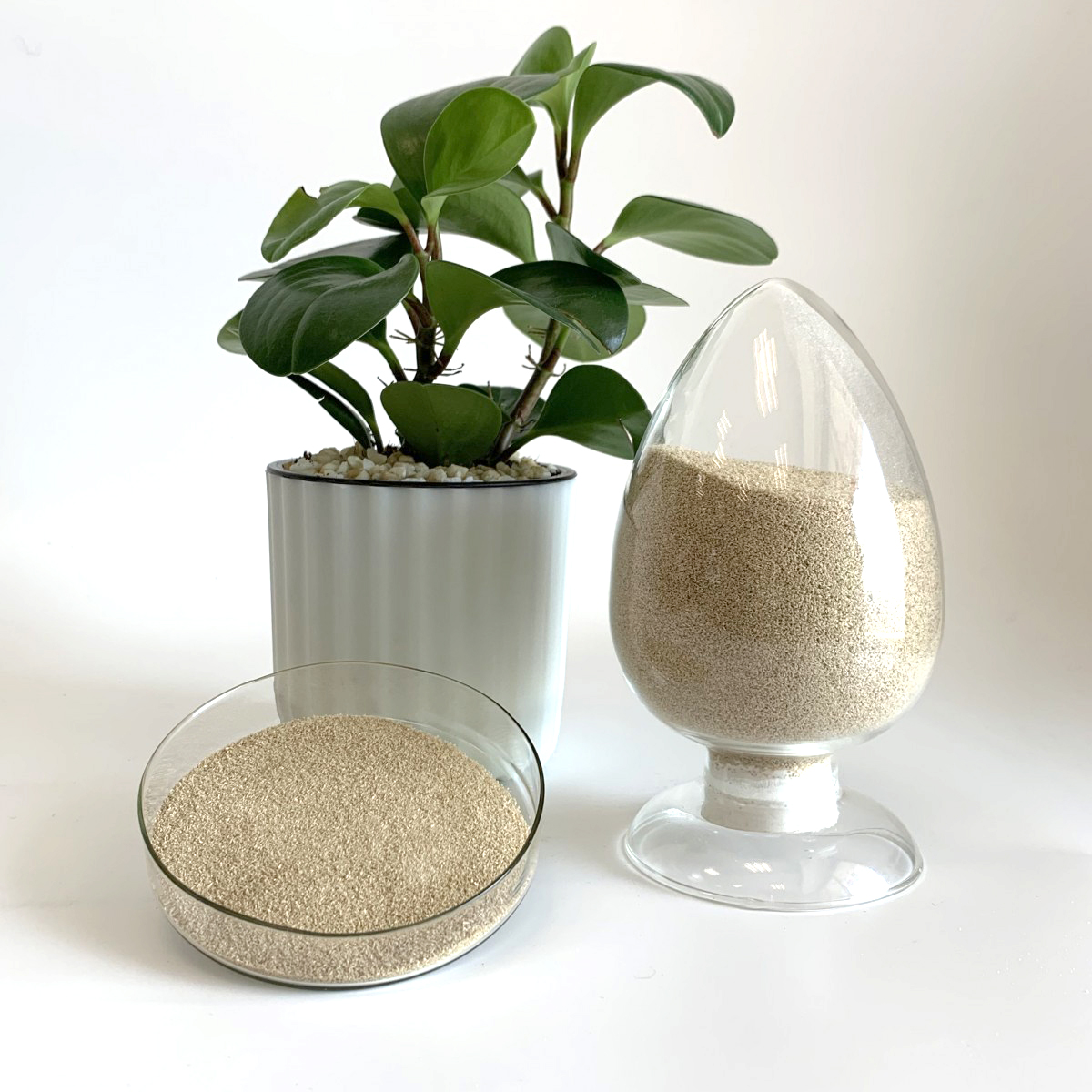 Alginate de sodium CAS#9005-38-3 Alginate de sodium CAS#9005-38-3