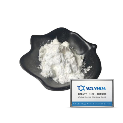 3-Amino-4-bromo-6-chloropyridazine CAS#446273-59-2