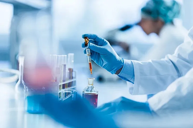 Capsaicin Pepper CAS#2444-46-4 Capsaicin Pepper CAS#2444-46-4