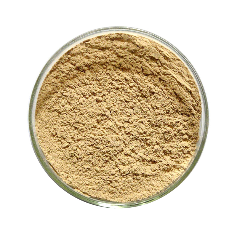 Chlorogenic acid CAS#327-97-9