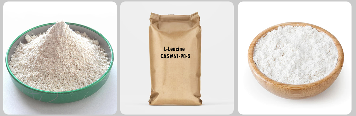 L-Leucine#61-90-5 L-Leucine#61-90-5