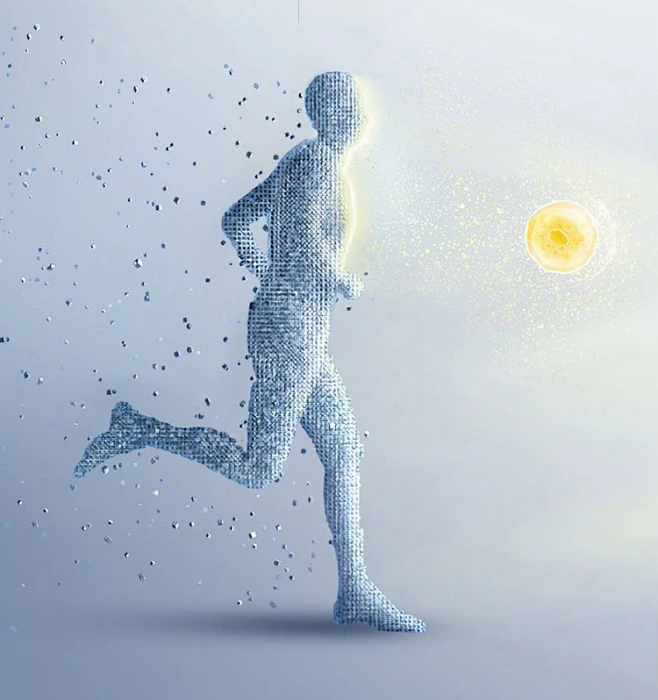 Che cos'è l'acido succinico nella cera d'api ambrata?