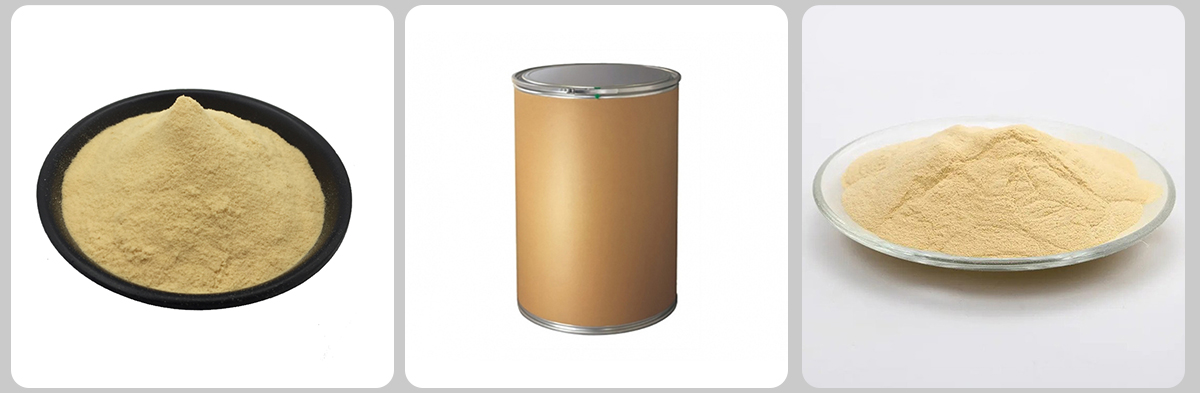 Estratto di lievito CAS#8013-01-2 Estratto di lievito CAS#8013-01-2