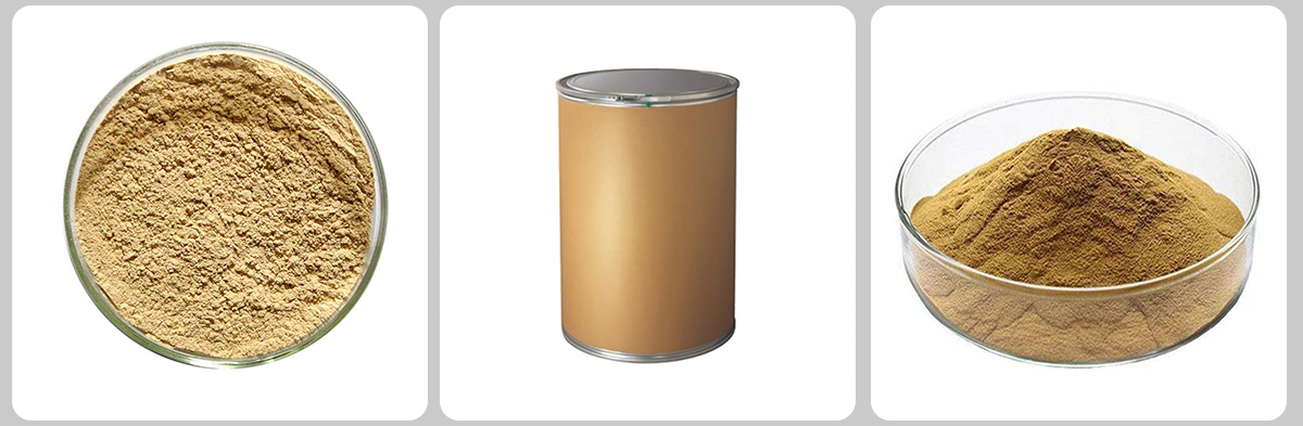 Chlorogenic acid CAS#327-97-9 Chlorogenic acid CAS#327-97-9